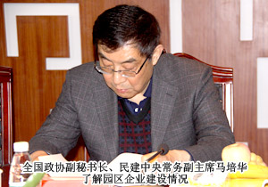 全國政協(xié)副秘書長、民建中央常務(wù)副主席馬培華一行蒞臨綠之韻集團(tuán)考察