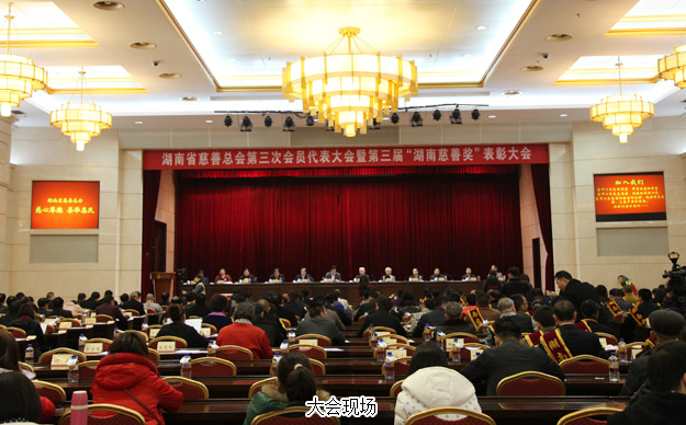 胡國安董事長當(dāng)選湖南省慈善總會副會長，綠之韻集團(tuán)榮膺“湖南省慈善獎”殊榮