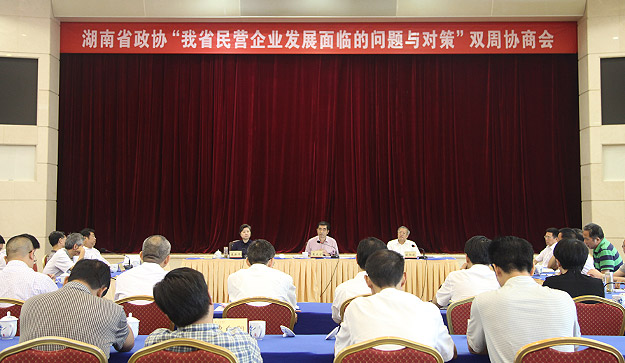 胡國安董事長受邀出席湖南省政協(xié)雙周協(xié)商會