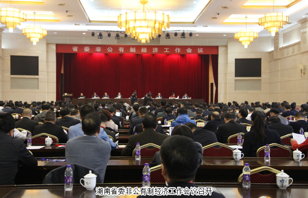 綠之韻集團(tuán)董事長(zhǎng)胡國(guó)安出席湖南省委非公有制經(jīng)濟(jì)工作會(huì)議，并接受湖南衛(wèi)視、經(jīng)視采訪