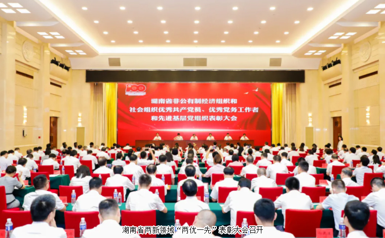 湖南省兩新領域“兩優(yōu)一先”表彰大會召開，綠之韻集團黨委書記劉云榮獲湖南省“優(yōu)秀黨務工作者”榮譽