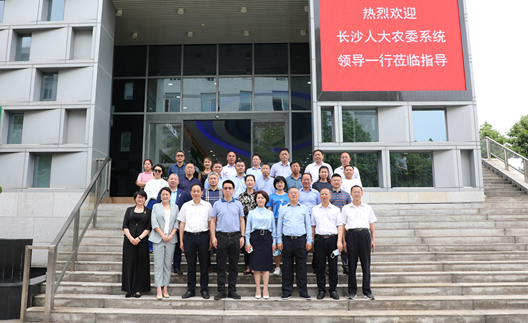 匯智聚力履職 助力鄉(xiāng)村振興 | 長(zhǎng)沙市人大常委會(huì)副主任李平一行蒞臨綠之韻調(diào)研